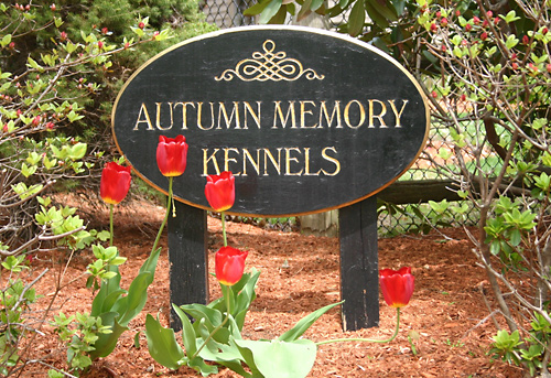 April at Autumn Memory Kennels