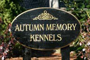 Autumn Memory Kennels